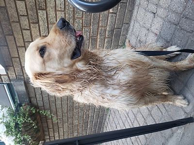 vanloom profile photo