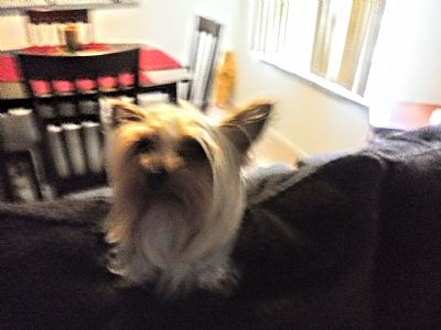 baranbubik profile photo