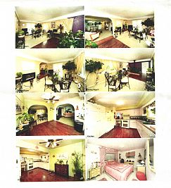 caps3852 profile photo