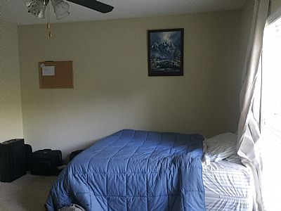 Chicknlittle profile photo