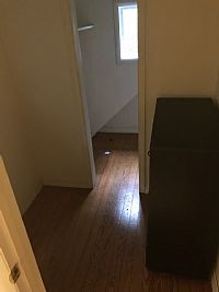 Timfitz profile photo