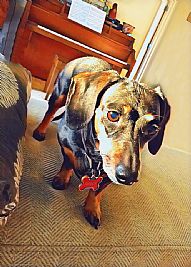 billyboycharm profile photo