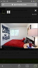 kamiller profile photo