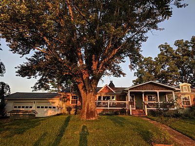 NCLandLady profile photo