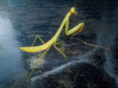 BS10410 profile photo