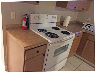 MsHazell profile photo