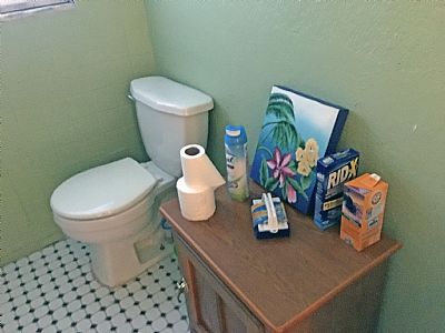 MsHazell profile photo