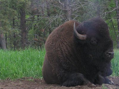 daisy0032 profile photo