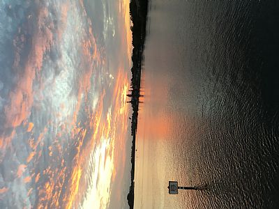 Nelson672 profile photo