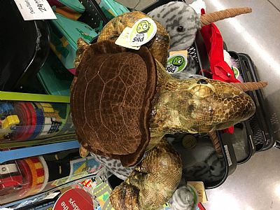 Nelson672 profile photo