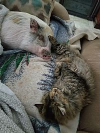 Irisgrl profile photo