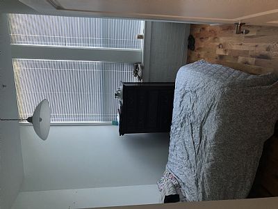 Trainer47 profile photo