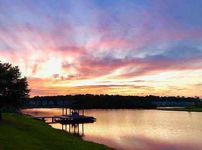 savvysav profile photo