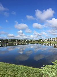 savvysav profile photo