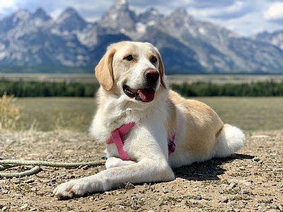 Joycubero profile photo