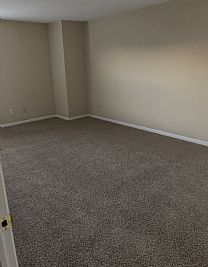 Stefms87 profile photo