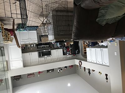 Kate19471957 profile photo