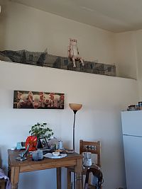 SHERRYP profile photo