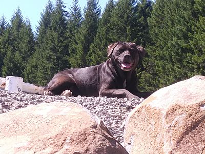 StephenFarr profile photo