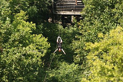 Startingover25 profile photo