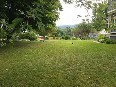 Shadowbanjo profile photo