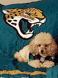 Mrg5778 profile photo