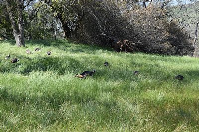 Velmore profile photo