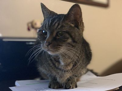 ebabelz profile photo