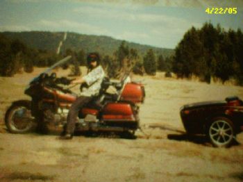 TomeRaider profile photo