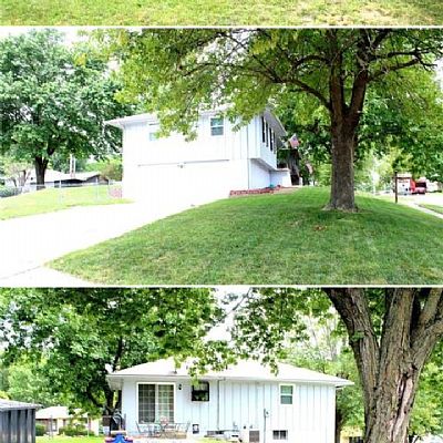 LuigiDS333 profile photo