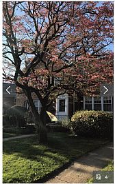 roomster1990 profile photo