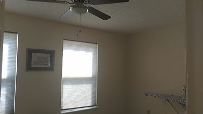 Attanasio profile photo