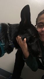 cmgaray profile photo