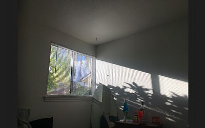 evandquinn profile photo