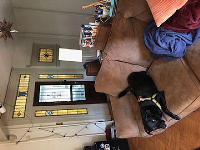 AerialLeah profile photo