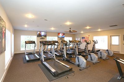 lauren.mich profile photo