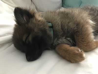 Szilvia profile photo