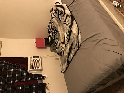 Alibuturki profile photo