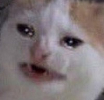 cloudwatcher240 profile photo