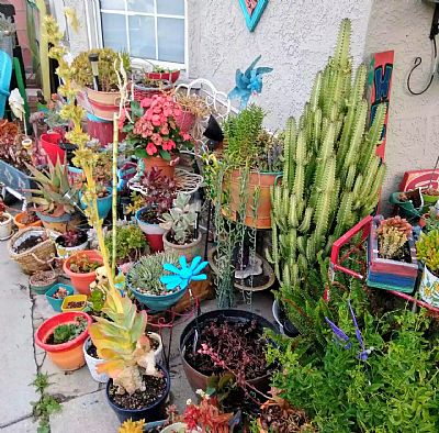 Lucyrose77 profile photo