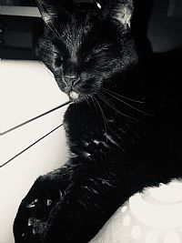 Jeannabee118 profile photo