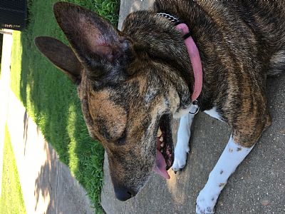 AshJenn profile photo