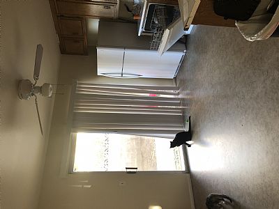 LaurenNich profile photo