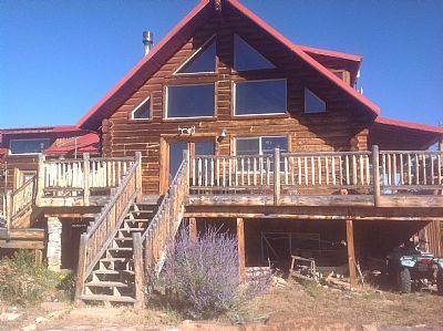 Catbestland profile photo