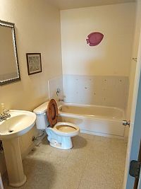 AlanBrandes profile photo