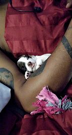 kaylafors42 profile photo