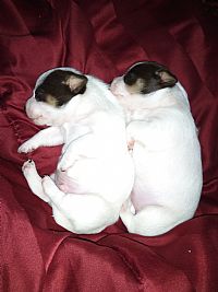 kaylafors42 profile photo