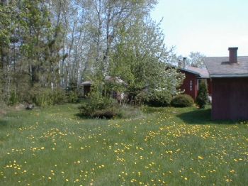 kender profile photo