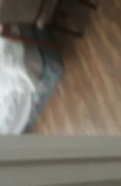 Ic95825 profile photo