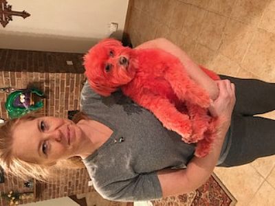 5Elements profile photo